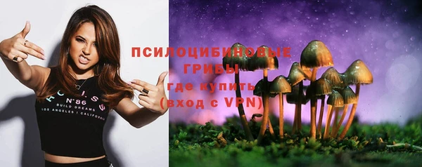 меф Гусев