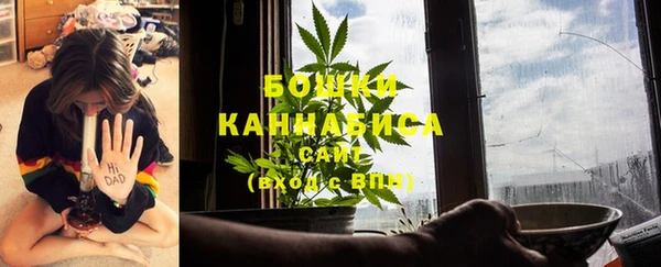 бошки Гусь-Хрустальный