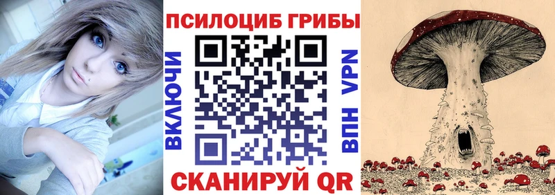 Купить  Нязепетровск  Псилоцибиновые грибы GOLDEN TEACHER 